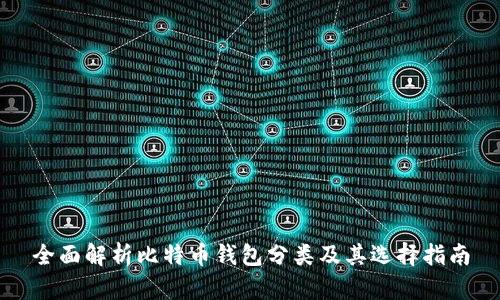 全面解析比特币钱包分类及其选择指南