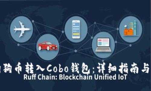 如何将狗狗币转入Cobo钱包：详细指南与注意事项