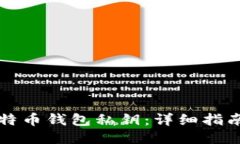 如何查看比特币钱包私钥：详细指南与安全提示